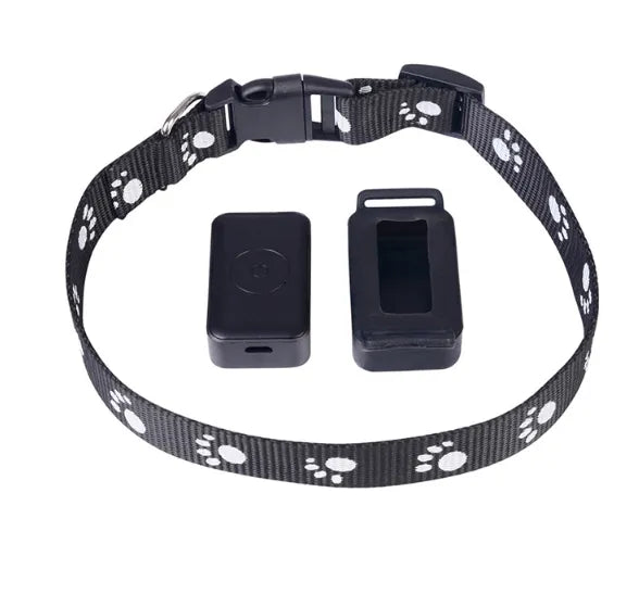 Real-Time GPS Pet Tracker with App & Geo-Fencing