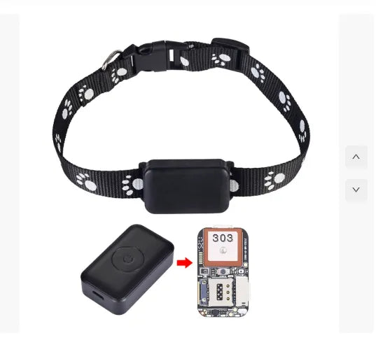 Real-Time GPS Pet Tracker with App & Geo-Fencing