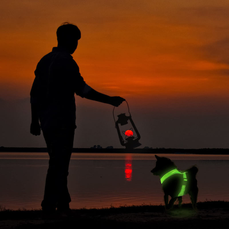 LED Rechargeable Dog Safety Harness – Light Up Reflective Vest for Night Walks